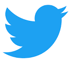 Image result for internet Twitter logo